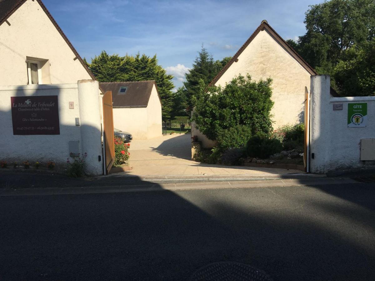 La Maison De Triboulet Chambres Et Table D'Hotes -Amboise- Poce-sur-Cisse Bagian luar foto